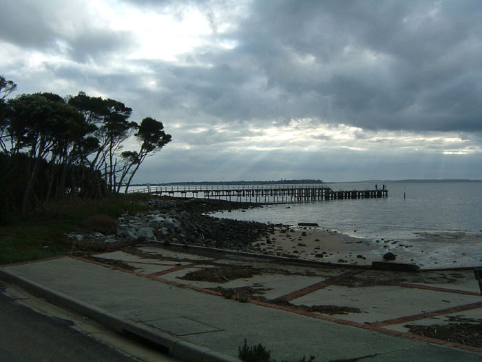03 Penguin Island.jpg